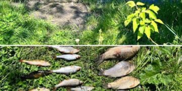 На Черкащині затримали браконьєра зі збитками понад 56 тисяч гривень