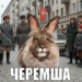 Черемша – кто это? История самого абсурдного мема 2026 года про СССР, льва с ушами кролика и жизнь без суеты