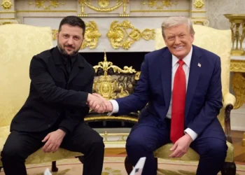В Белом доме подтвердили встречу Зеленского и Трампа на следующей неделе | !